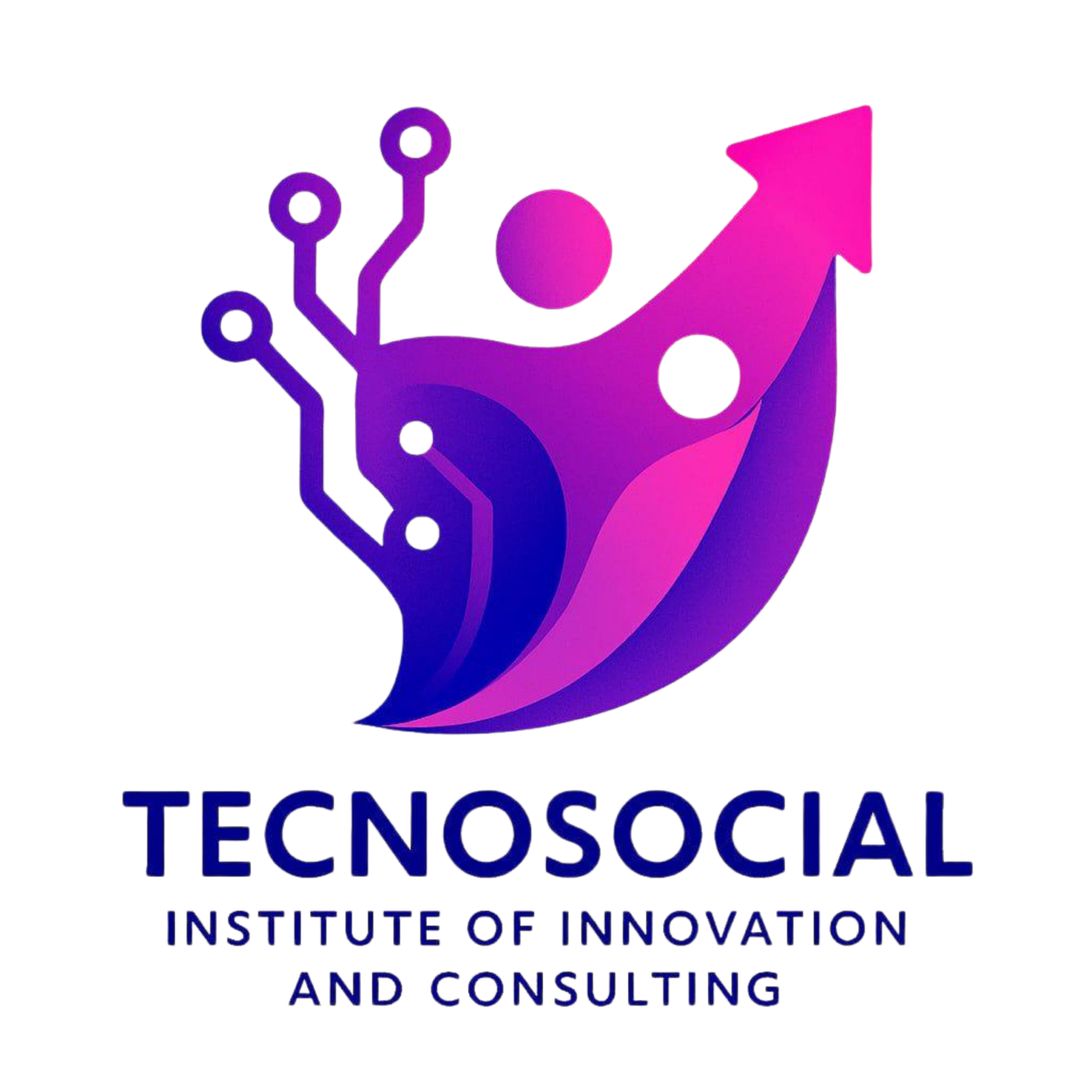 Instituto TecnoSocial de Innovación y Consultoría